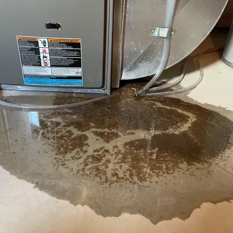 Appliance Leak Cleanup in Hillside, IL